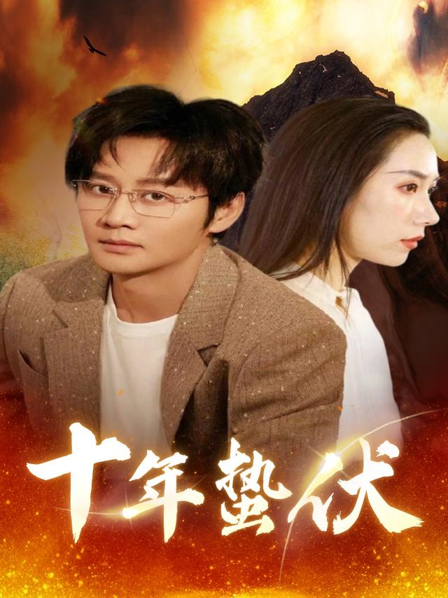 十年蛰伏封面