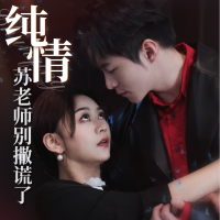 纯情苏老师别撒谎了封面