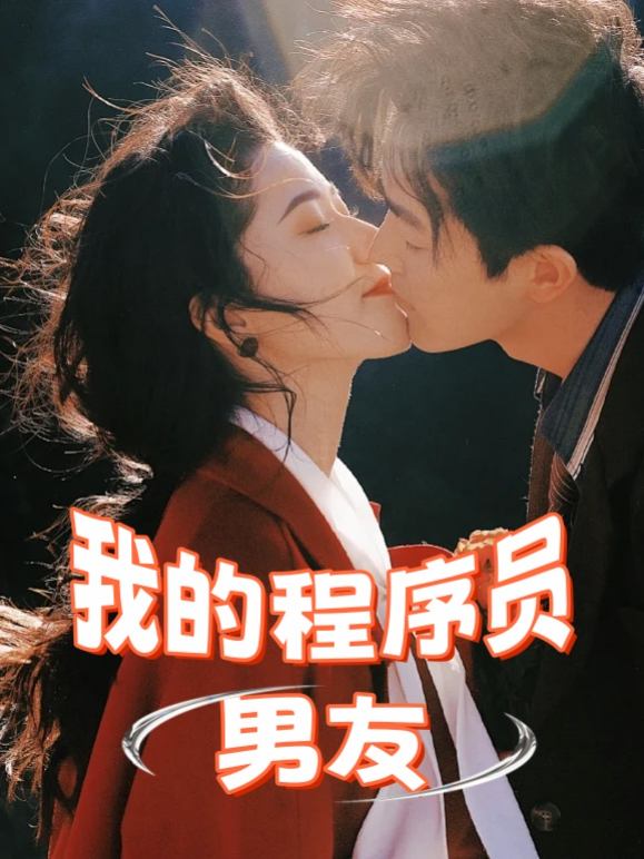 我的程序员男友封面