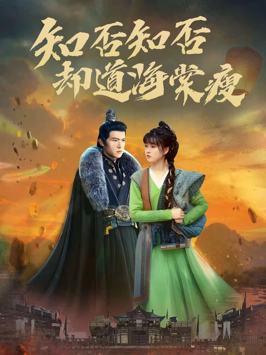 知否知否却道海棠瘦封面