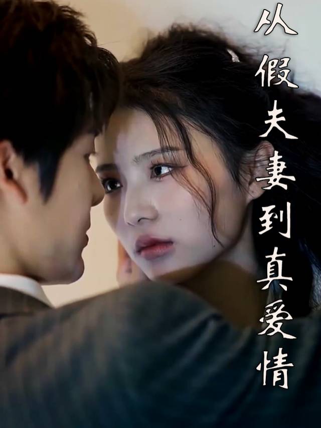 从假夫妻到真爱情封面