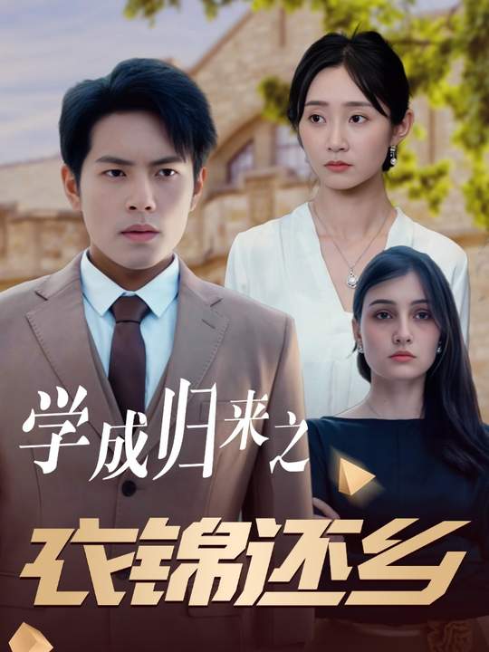 学成归来之衣锦还乡封面