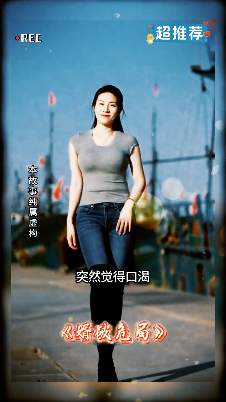 婿破危局封面