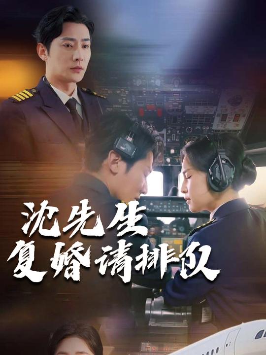 沈先生,复婚请排队封面