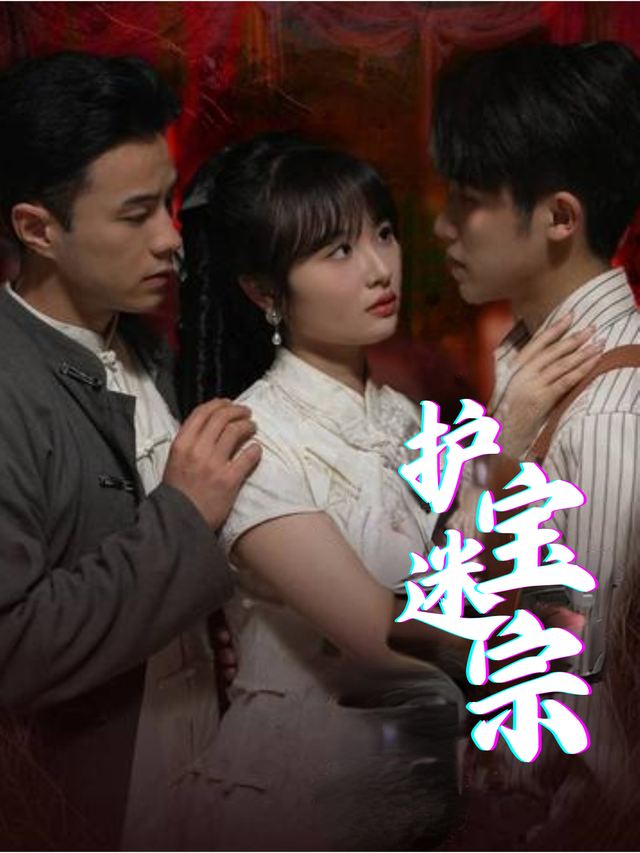 护宝迷踪封面