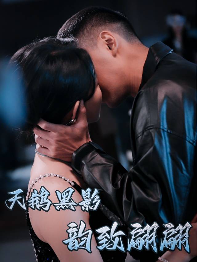 天鹅黑影,韵致翩翩封面