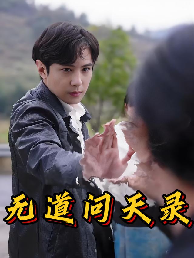 无道问天录封面