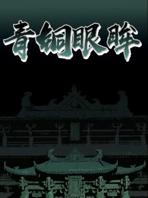 青铜眼眸封面