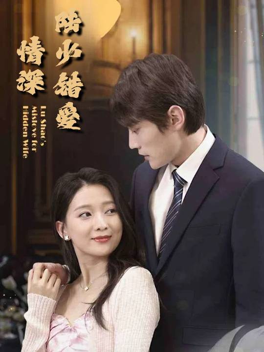 陆少错爱情深封面