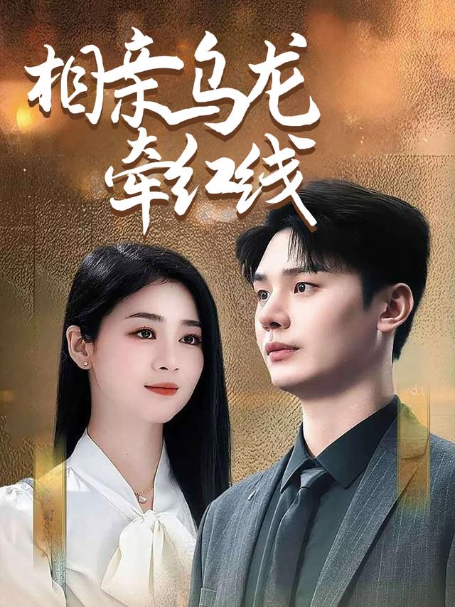 相亲乌龙牵红线封面