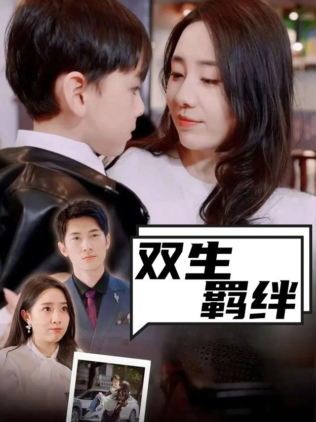 双生羁绊封面