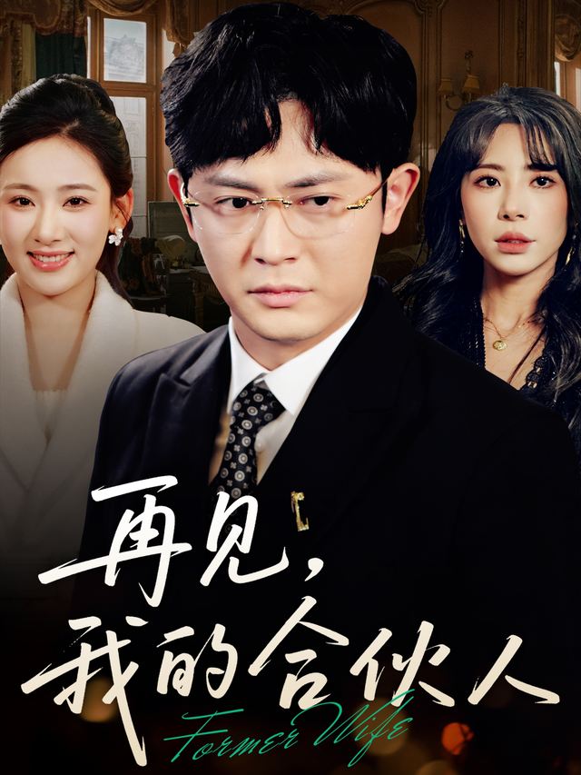 再见，我的合伙人封面