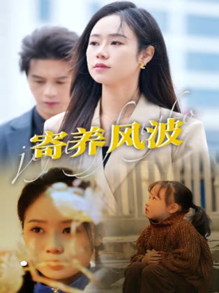 寄养风波封面