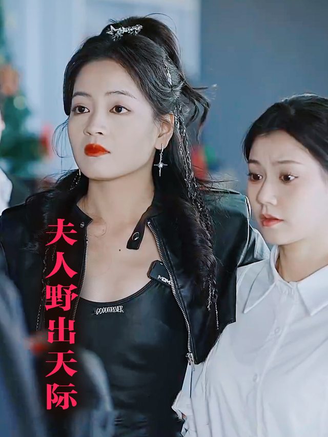 夫人野出天际封面