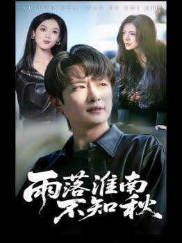 雨落淮南不知秋封面