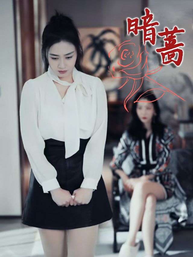 暗蔷封面