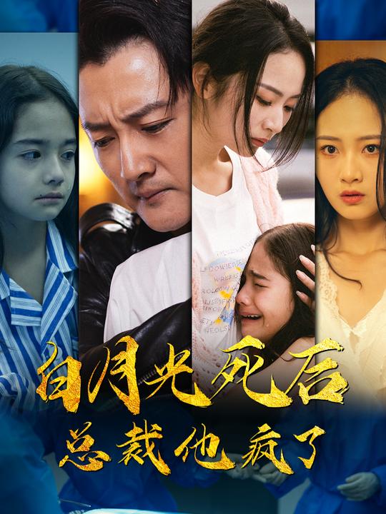 白月光死后 总裁他疯了封面