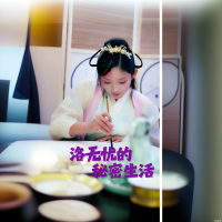 洛无忧的秘密生活封面