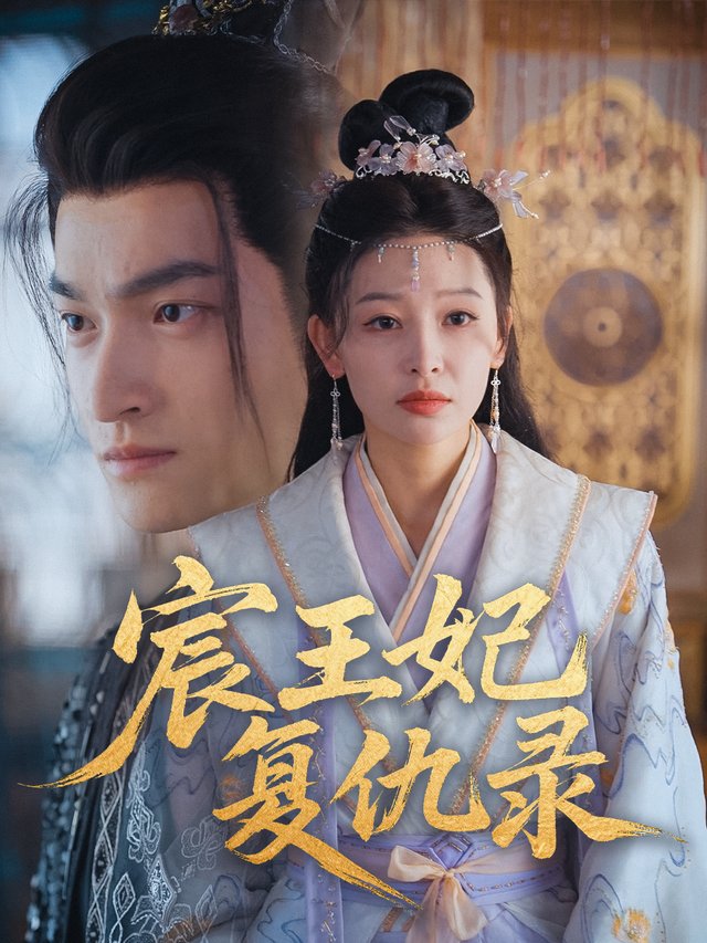 宸王妃复仇录封面