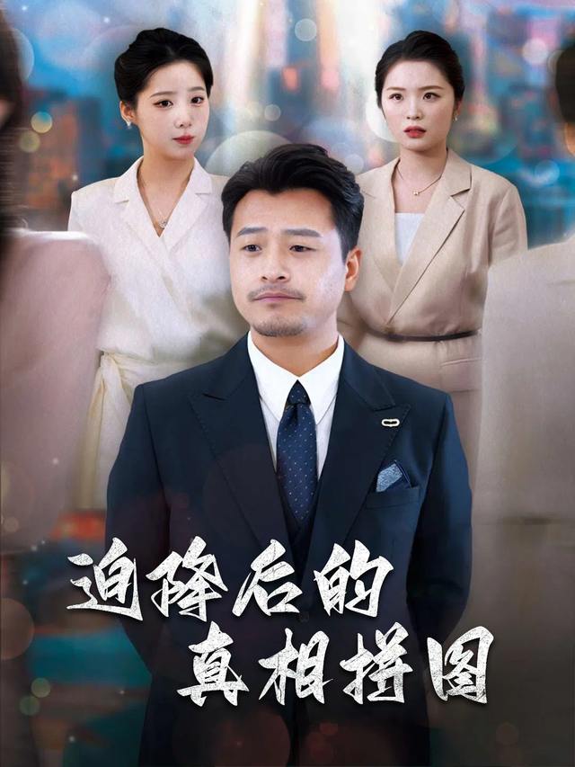 迫降后的真相拼图封面