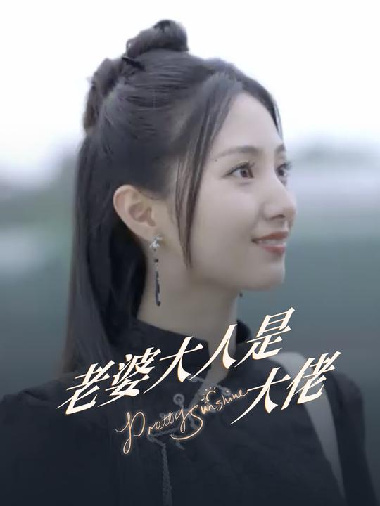 老婆大人是大佬封面