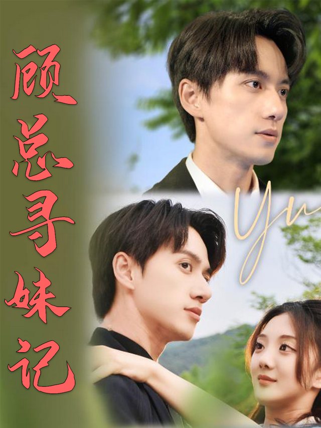 顾总寻妹记封面