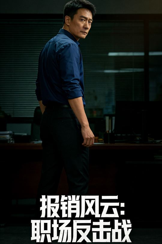 报销风云:职场反击战封面