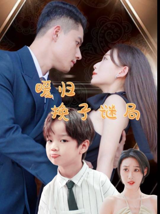 暖归:换子谜局封面
