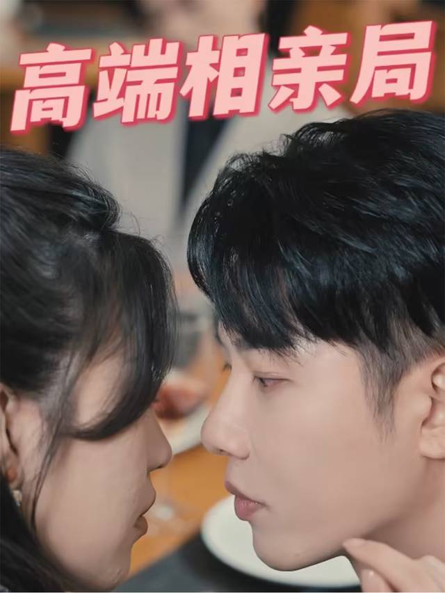 高端相亲局封面