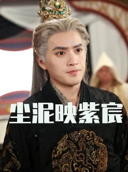 尘泥映紫宸封面