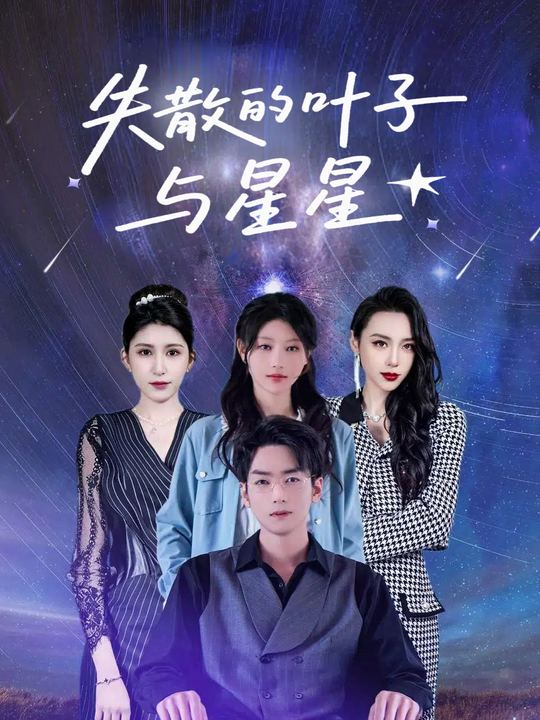失散的叶子与星星封面