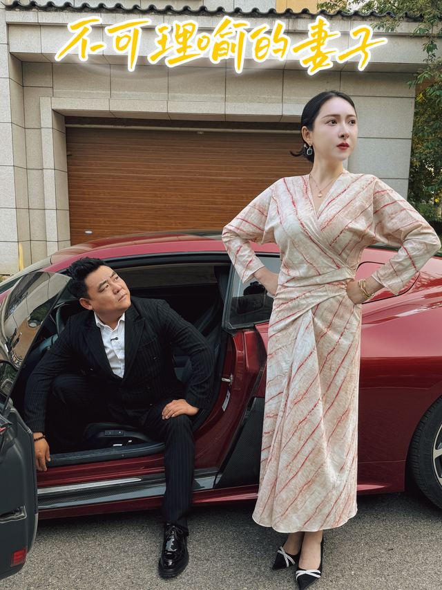 不可理喻的妻子封面