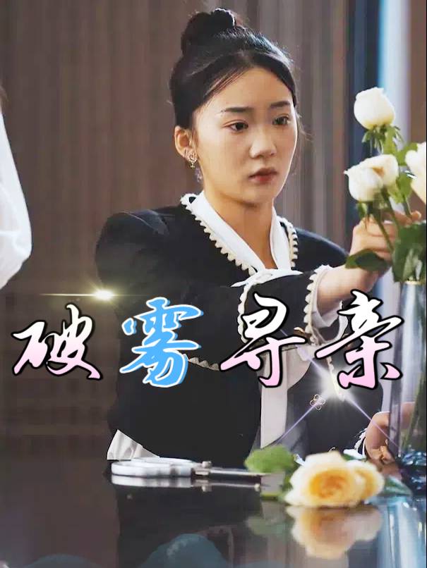 破雾寻亲封面