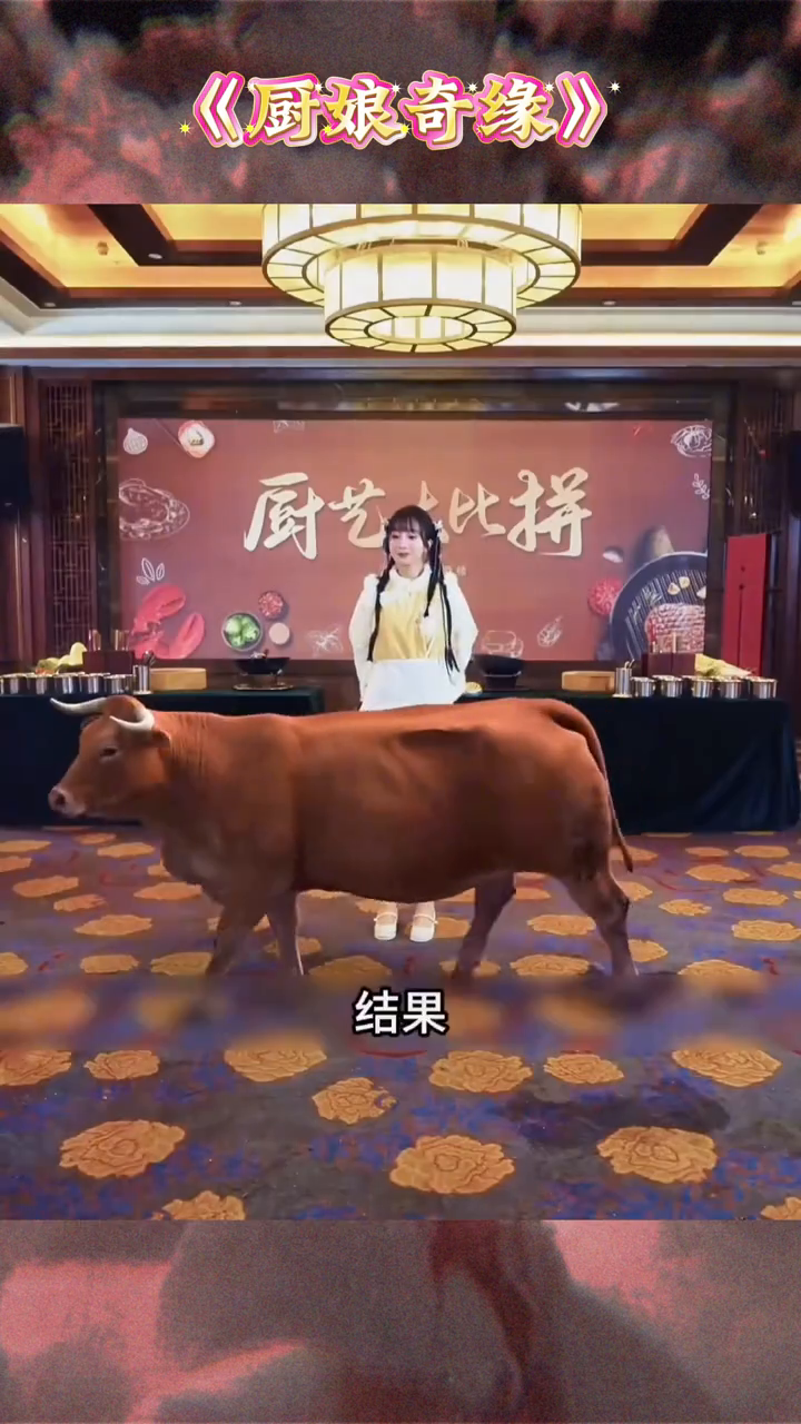 厨娘奇缘封面