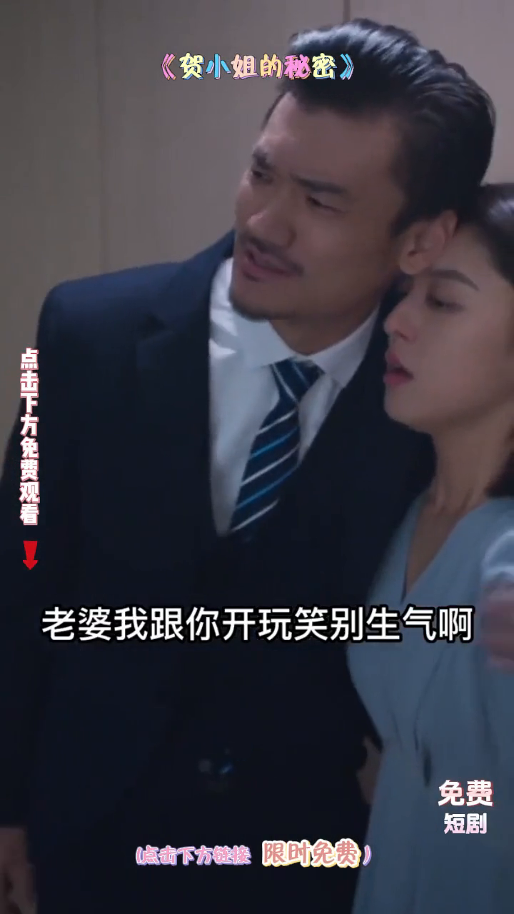 贺小姐的秘密封面