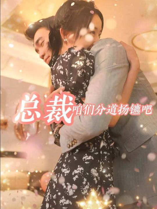 总裁,咱们分道扬镳吧封面