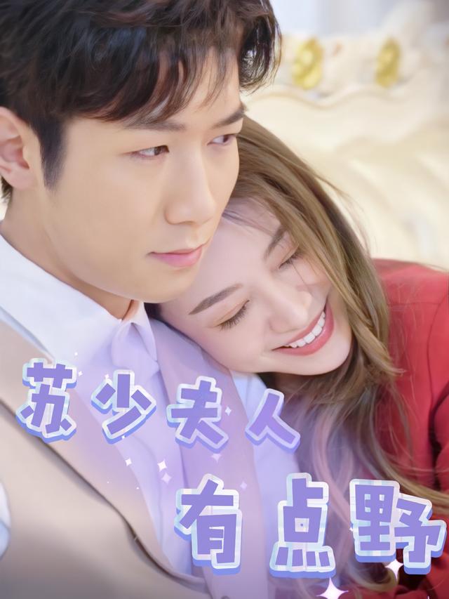 苏少夫人有点野封面
