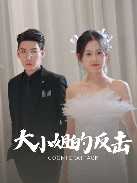 大小姐的反击封面