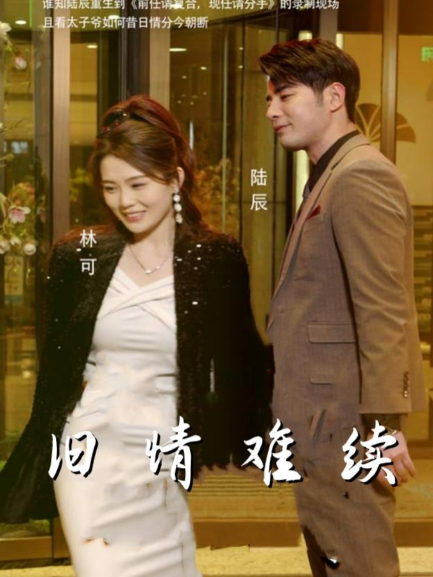 旧情难续封面