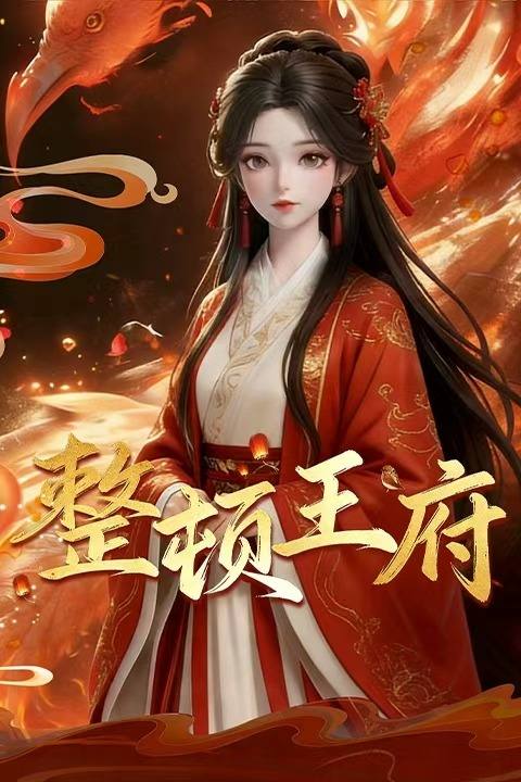 整顿王府封面