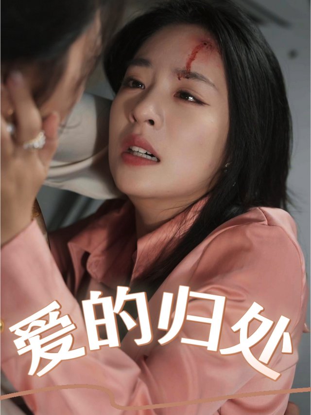 爱的归处封面