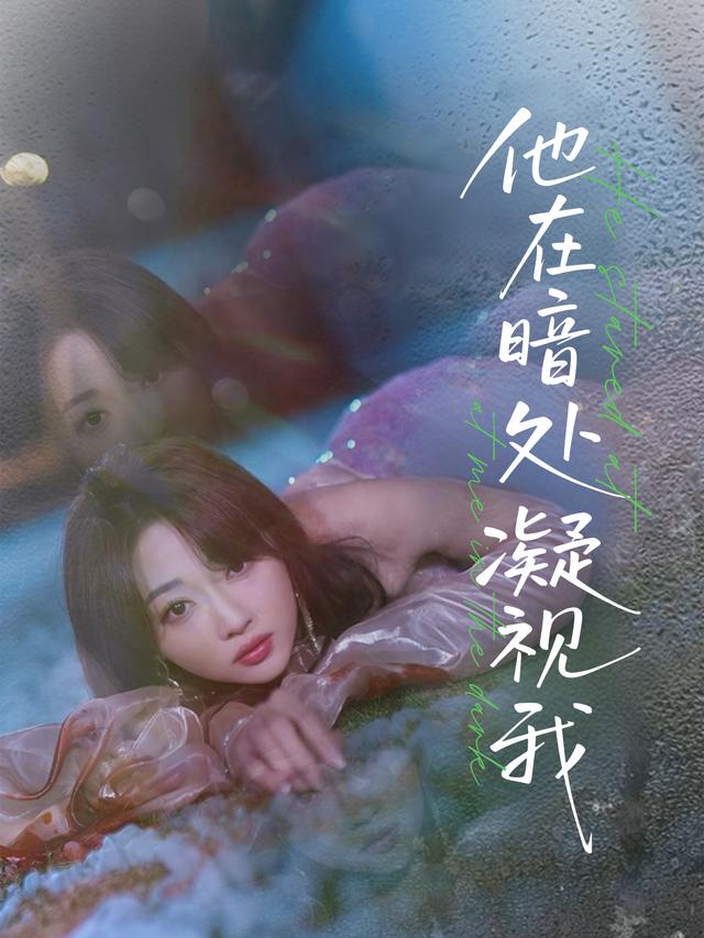 他在暗处凝视我封面