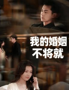 我的婚姻不将就封面