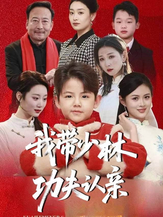 我带少林功夫认亲封面