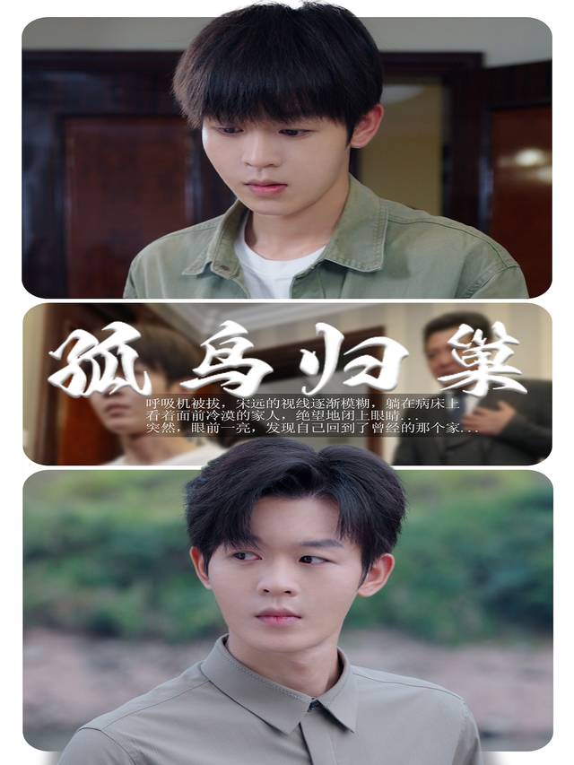 孤鸟归巢封面