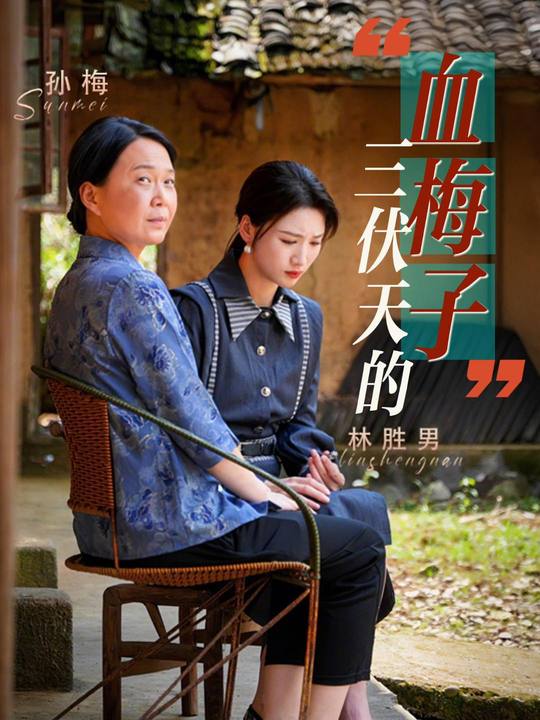 三伏天的血梅子封面