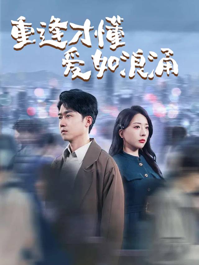 重逢才懂爱如浪涌封面