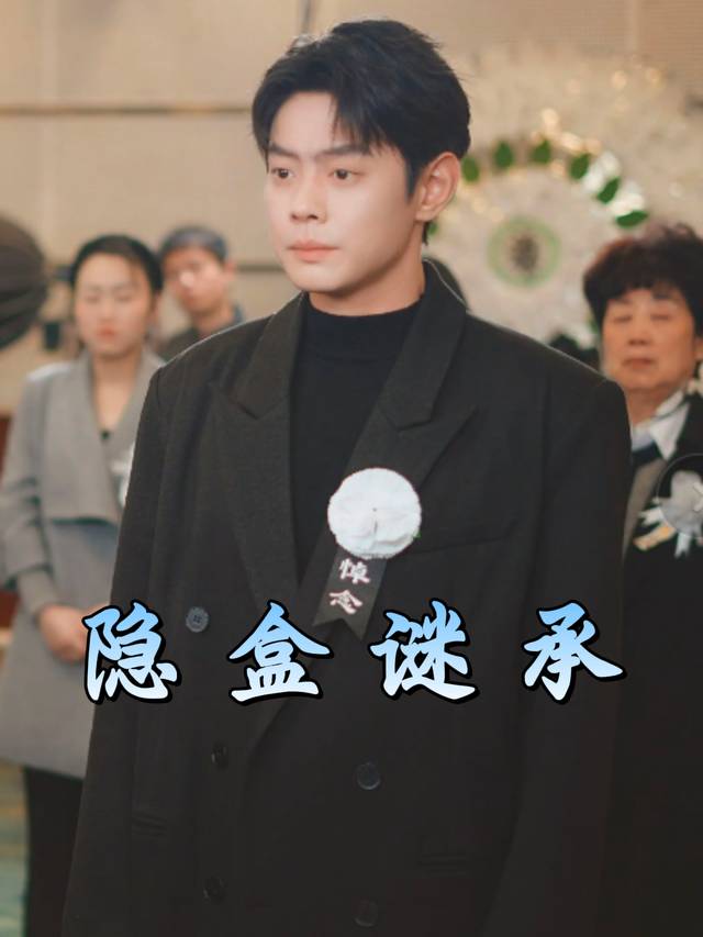 隐盒谜承封面