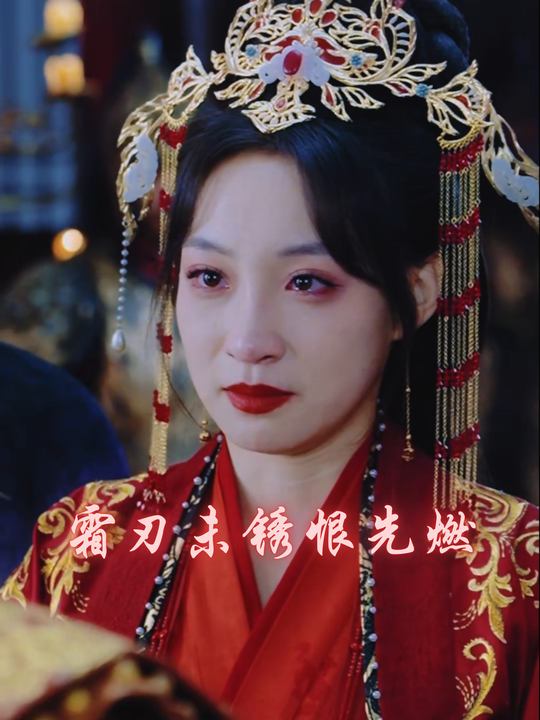 霜刃未锈恨先燃封面
