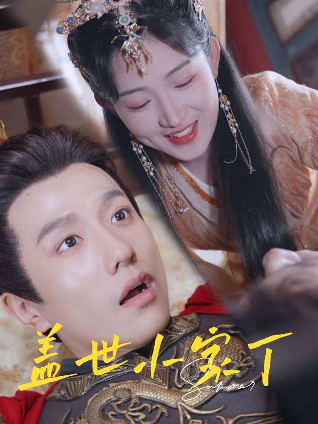 盖世小家丁封面